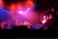 Live Shots
